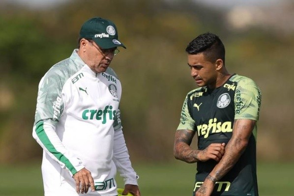 Foto: Palmeiras/Divulgação