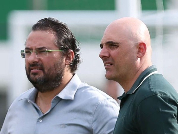 Divulgação/Palmeiras