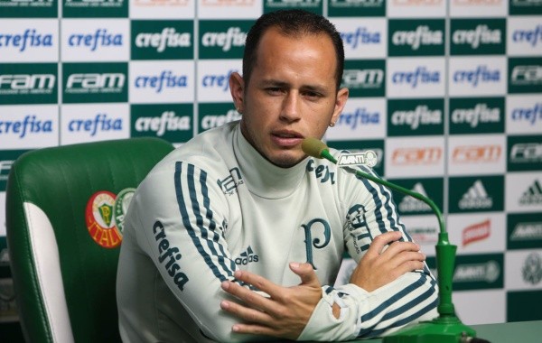 Cesar Greco/Palmeiras