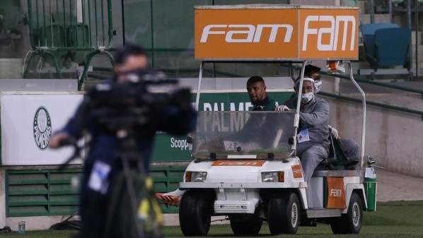 Cesar Greco/Palmeiras