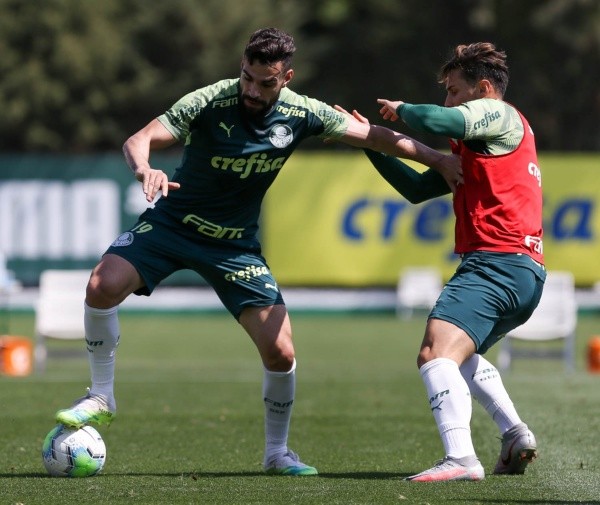 Cesar Greco/Palmeiras