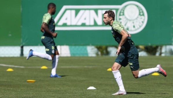 Cesar Greco/Palmeiras