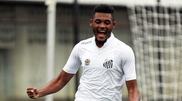 Foto: Pedro Ernesto Guerra/Santos FC