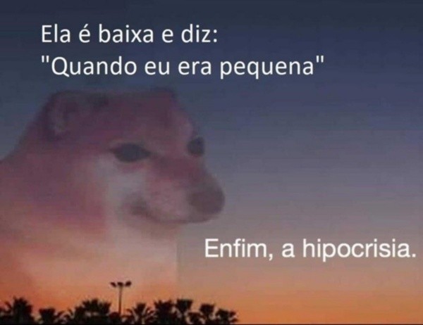 Meme do cachorro 'Enfim, a hipocrisia'. Foto: Reprodução Meme do cachorro 'Enfim, a hipocrisia'. Foto: Reprodução