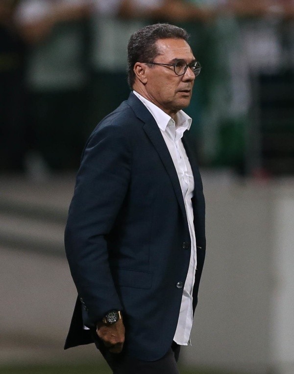 Divulgação/Palmeiras