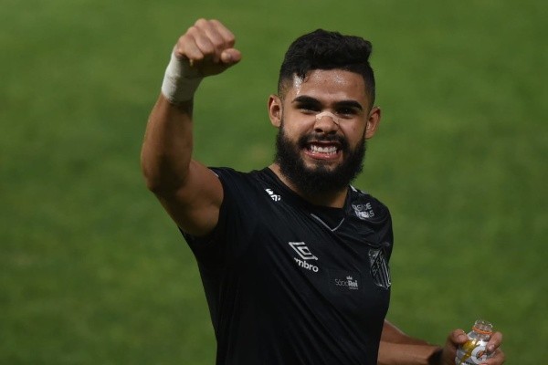 Foto: Ivan Storti/Santos FC