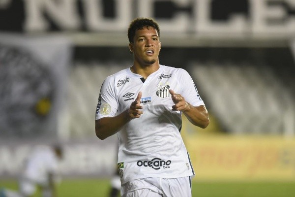 Foto: Ivan Storti/Flickr Oficial Santos FC/Divulgação