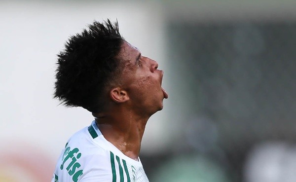 Foto: Flickr Oficial Palmeiras