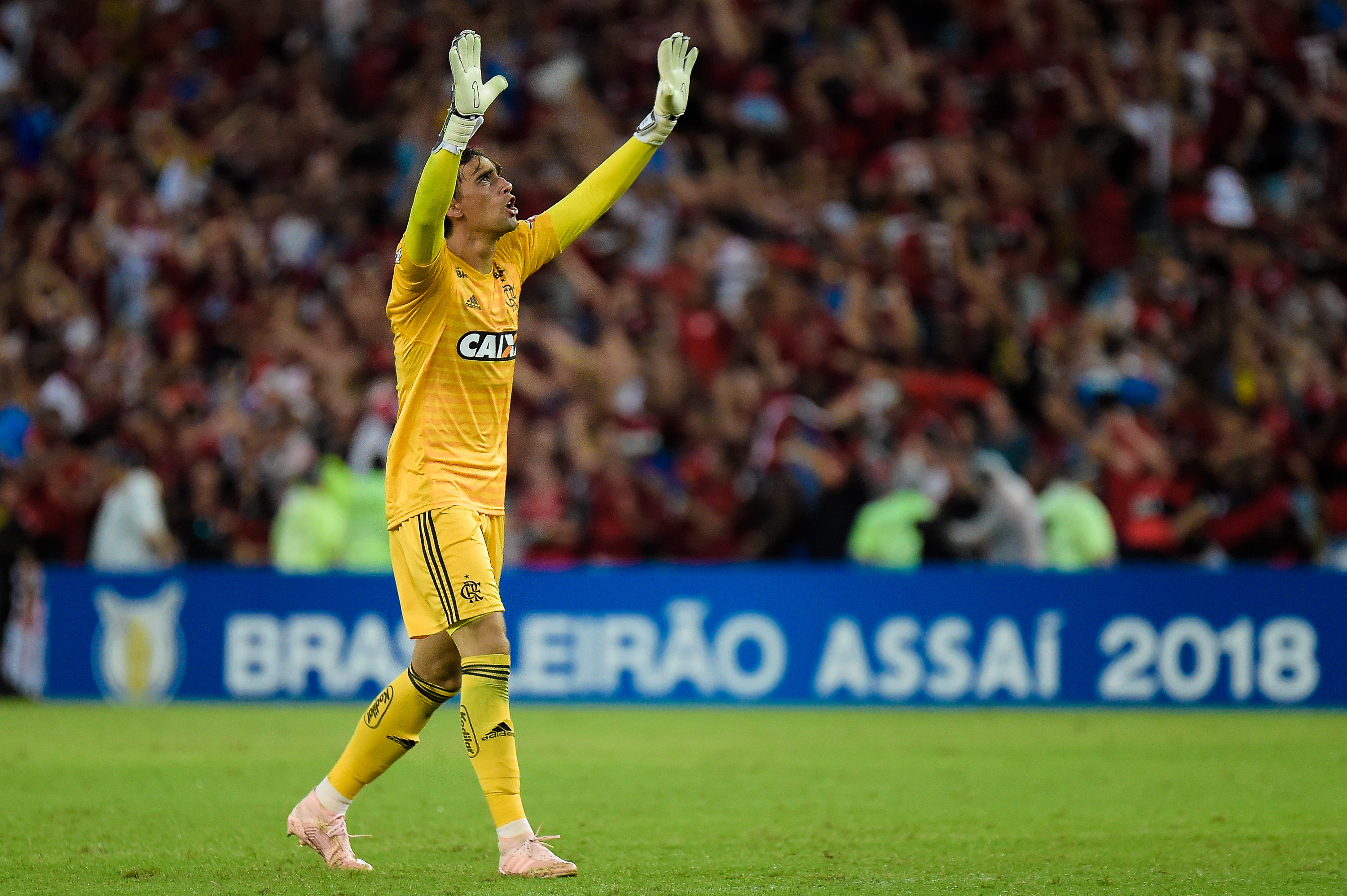 Cesár em campo no jogo Flamengo x Palmeiras, pelo Brasileirão de 2018. (Foto: AGIF)