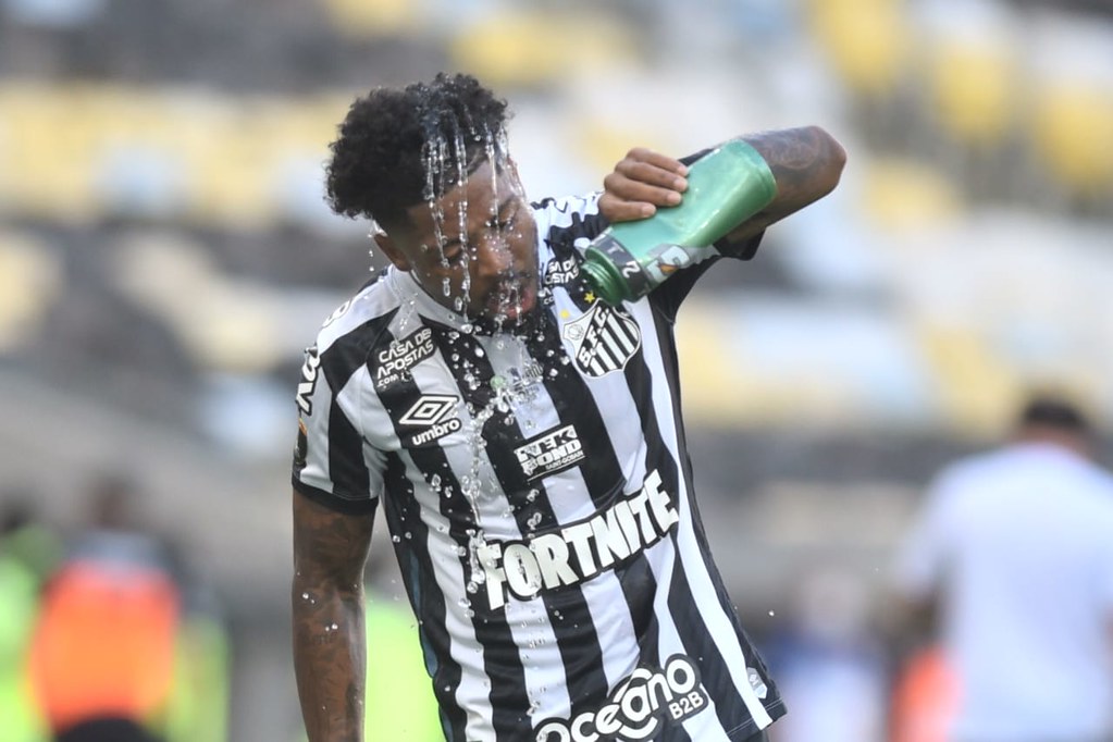 Foto: Ivan Storti/Flickr do Santos FC
