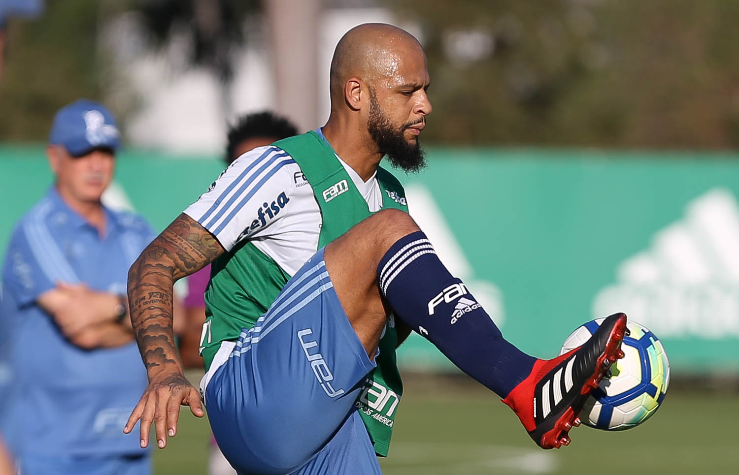 Líder no time de Abel, Felipe Melo deve ter vínculo estendido no Palmeiras (Foto: César Greco)