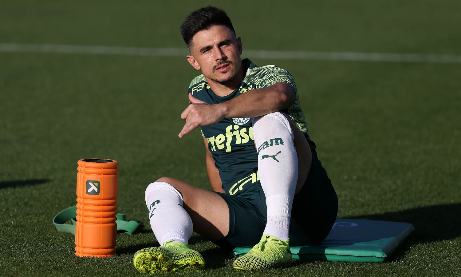 Willian deve ter contrato renovado no Palmeiras mesmo com sondagem do Fluminense (Foto: César Greco)