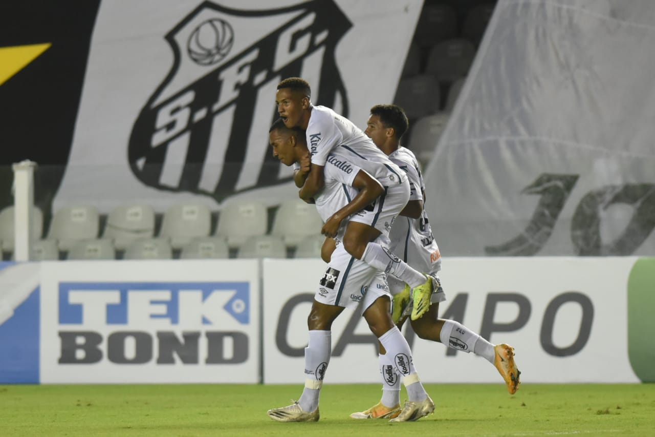 Foto: Ivan Storti/Santos FC