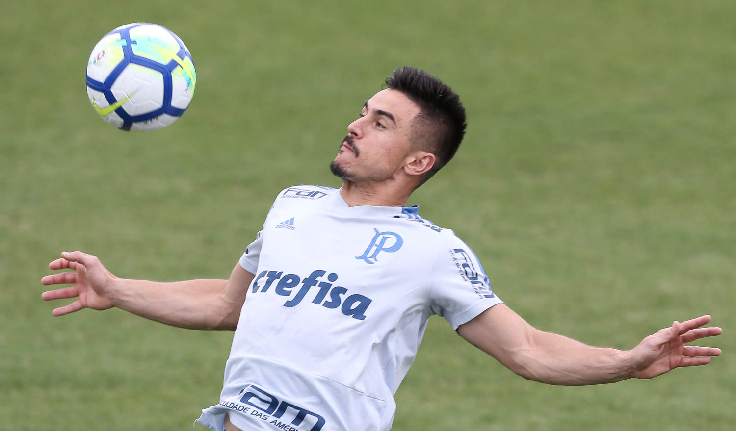 Willian ainda não está descartado pelo Fluminense para a disputa da Libertadores (Foto: César Greco)