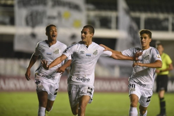 Foto: Ivan Storti/Santos FC