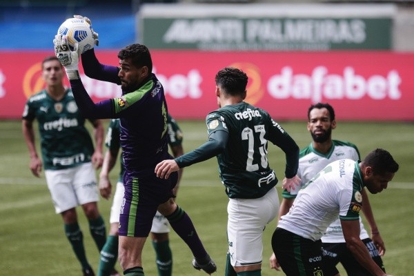 Palmeiras em campo contra o América-MG. (Foto: Ettore Chiereguini/AGIF) 