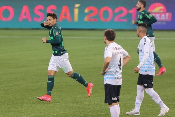 Palmeiras em campo contra o Grêmio. (Foto:  Marcello Zambrana/AGIF)