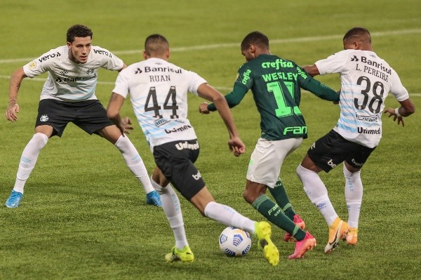 Grêmio em campo contra o Palmeiras. (Foto: Marcello Zambrana/AGIF)