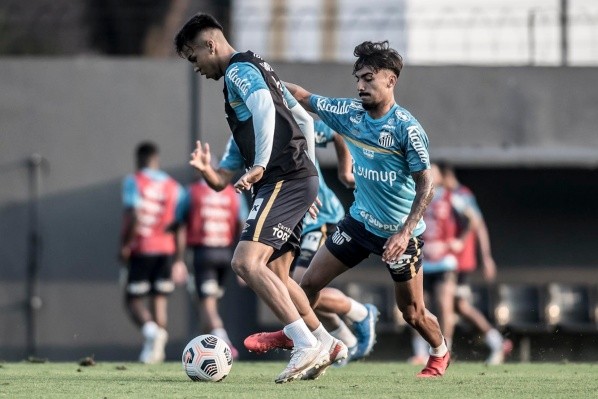 Foto: Ivan Storti/Santos FC