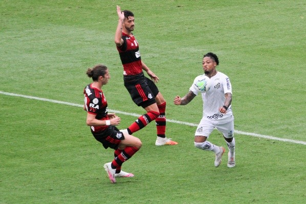 Santos x Flamengo. (Foto: Fernanda Luz/AGIF)