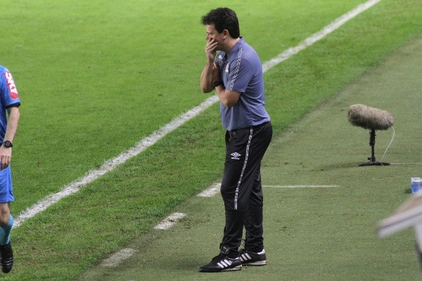 Diniz no comando do Santos, técnico foi demitido neste sábado. (Foto: Fernanda Luz/AGIF)