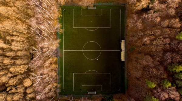Perdido em um bosque exuberante, este estádio impecável em Moscou brilha (Fonte: Unsplash)