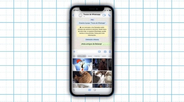 Imagem: Reprodução