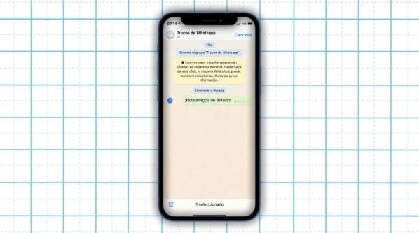 Imagem: Reprodução