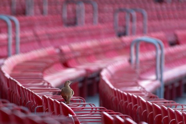 São Paulo enfrenta o Santos, pelo Campeonato Brasileiro, nesta quinta-feira (7) no Morumbi, com a presença de público. (Foto: Getty Images)