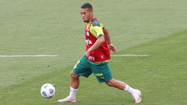 Cesar Greco/Palmeiras