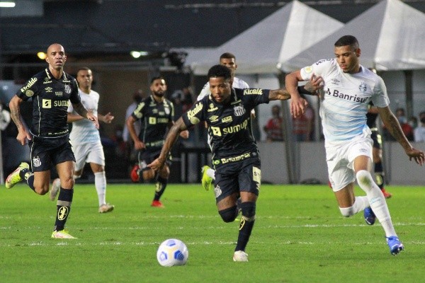 Grêmio em campo contra o Santos. (Foto:  Fernanda Luz/AGIF)