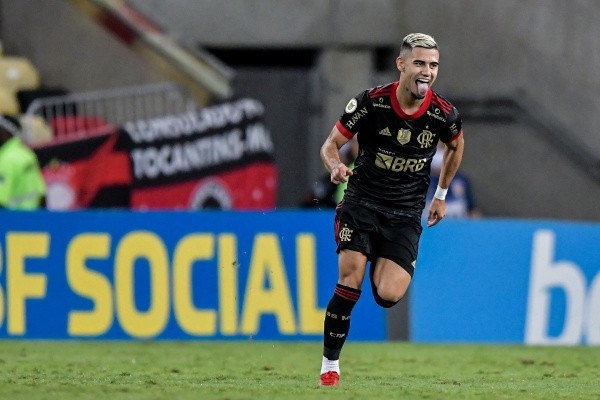 Andreas caiu nas graças da torcidas rubro-negra | Crédito: Thiago Ribeiro/AGIF
