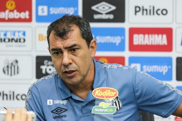 Fábio Carille cita Pep Guardiola para analisar trabalho no Santos (Foto: Luiz Erbes/AGIF)