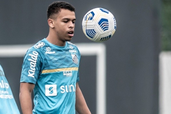 Foto: Ivan Storti/Santos FC
