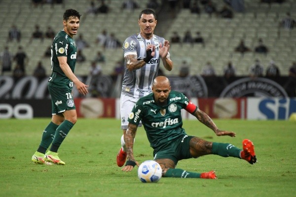 Felipe Melo ganhou o apelido de ''Pitbull Cachorro Louco' no Palmeiras (Foto: Kely Pereira/AGIF)