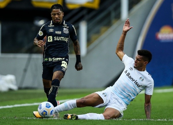 Alexandre Schneider/Getty Images/ Desde 2019 no Santos, Marinho teve ótimos números somente em uma temporada; veja as estatísticas Alexandre Schneider/Getty Images/ Desde 2019 no Santos, Marinho teve ótimos números somente em uma temporada; veja as estatísticas