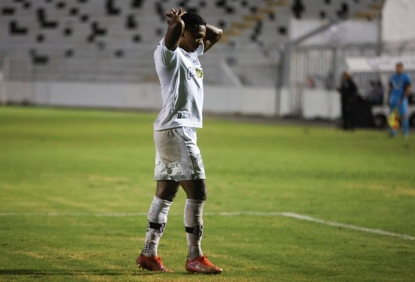 Foto: (Rogério Capela/AGIF) - Niltinho deve ser uma das novidades da Ponte Preta para o dérbi