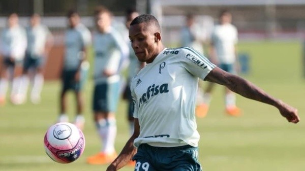Fernando é outro atacante na mira do Palmeiras (Foto: Cesar Grecco/Ag. Palmeiras)