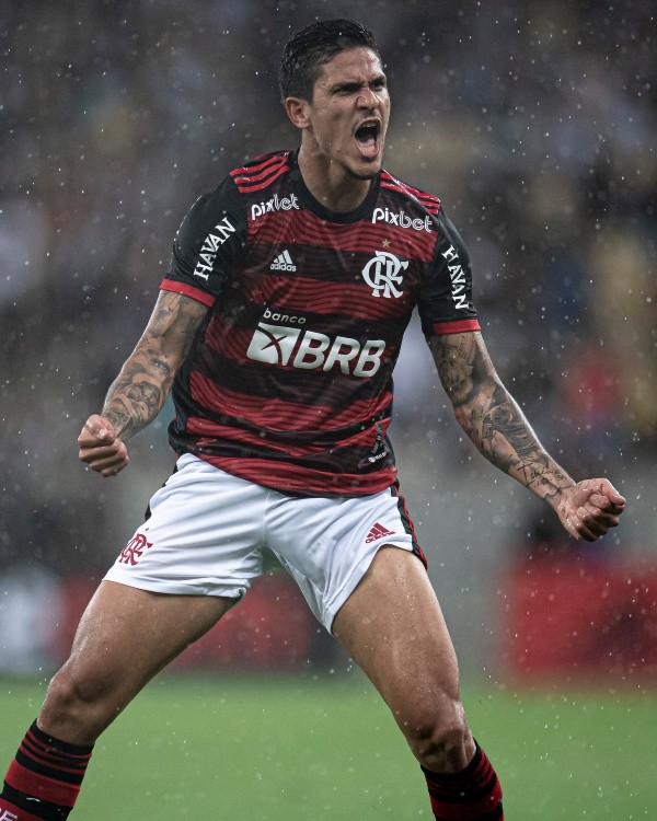 Foto: Jorge Rodrigues/AGIF – Zé Elias comentou que Pedro deve deixar o Flamengo