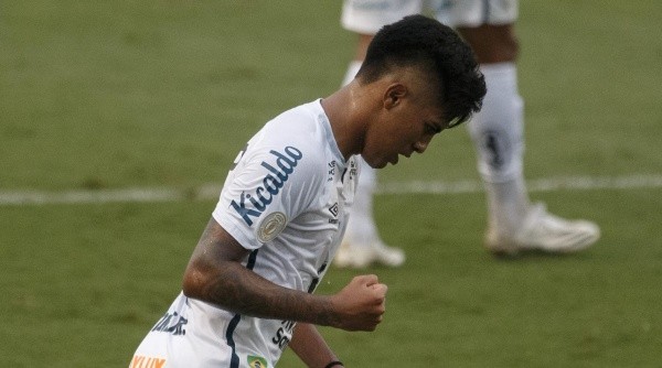 Ivonei não conseguiu espaço com Bustos no Santos (Foto: Ettore Chiereguini/AGIF)