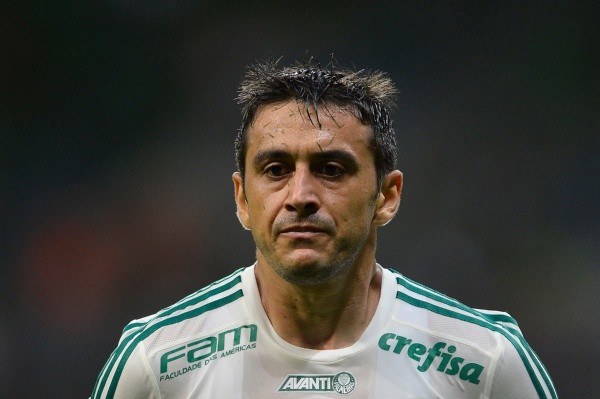 Foto: Mauro Horita/AGIF – Robinho destacou que não teve problemas no Verdão