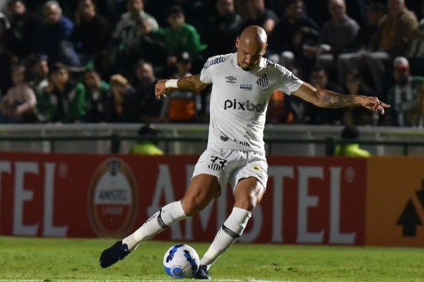  Foto: Ivan Storti/Santos FC