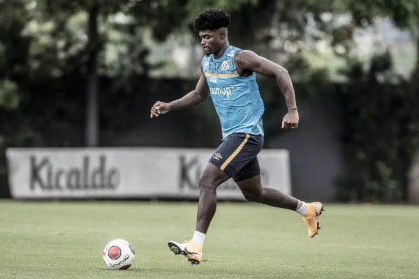 Bauermann deve ser titular contra o Avaí (Foto:  Ivan Storti/Santos FC)