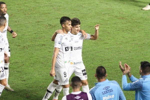 Foto: Fernanda Luz/AGIF