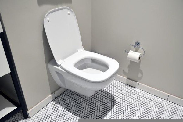 Animais podem sair do vaso sanitário. Foto: Pixabay Animais podem sair do vaso sanitário. Foto: Pixabay