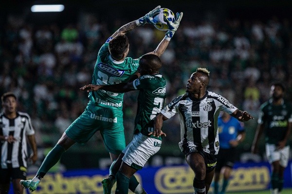 Isabela Azine/AGIF/ Goiás em campo. Isabela Azine/AGIF/ Goiás em campo.