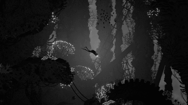 Reprodução/Spiral Circus