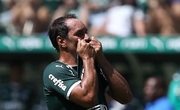 (Foto: Flickr Oficial Sociedade Esportiva Palmeiras)