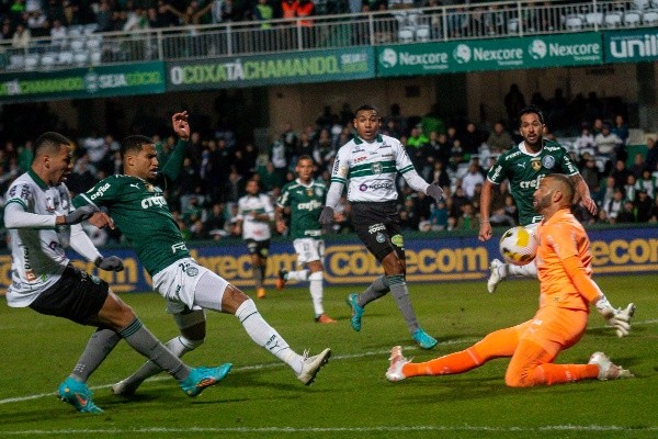Robson Mafra/AGIF/ Palmeiras em campo contra o Coritiba.