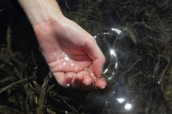 Foto: Joe Raedle/Getty Images Foto: Joe Raedle/Getty Images